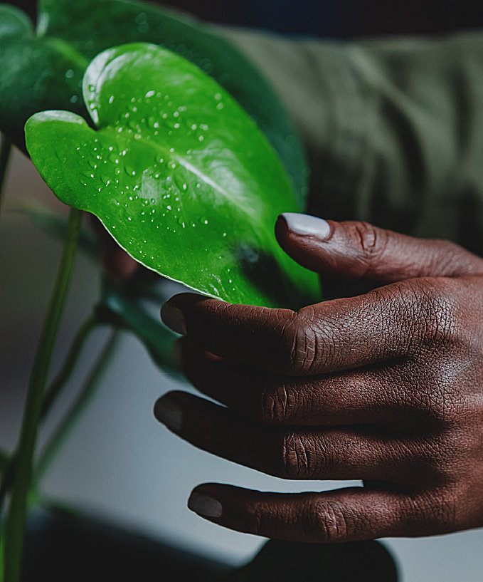 Capacity Building and Knowledge Systems