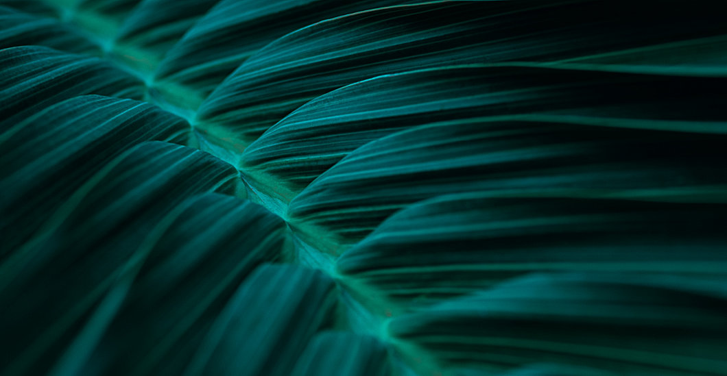 Driving change at every level