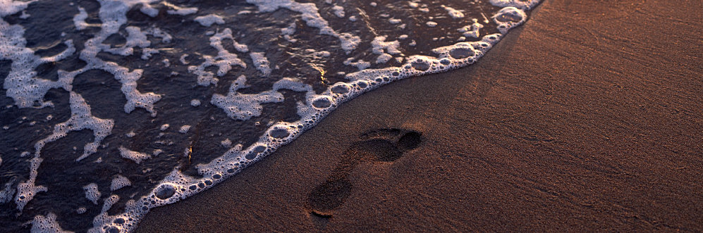 Minimising Our Footprint